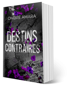 Visuel du livre (mockup)